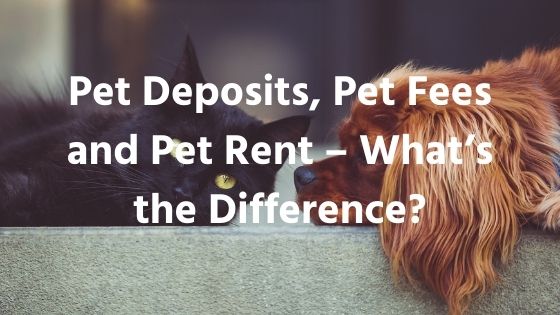 Pet Deposits, Pet Fees And Pet Rent – What’s The Difference
