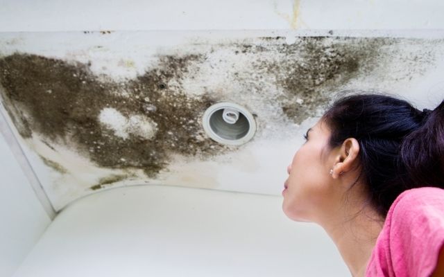 Mold From Water Damage