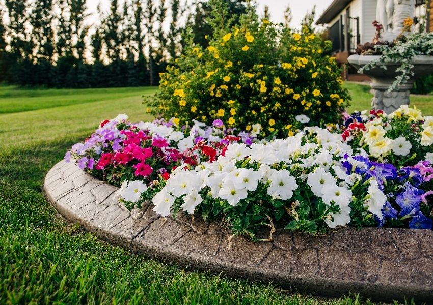 Curb Appeal